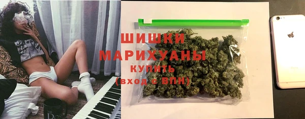 индика Абаза