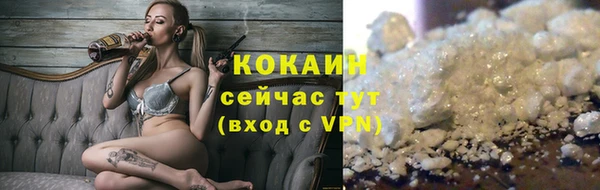 индика Абаза