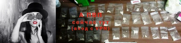 индика Абаза