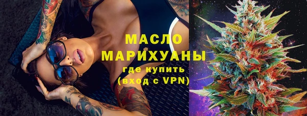 индика Абаза