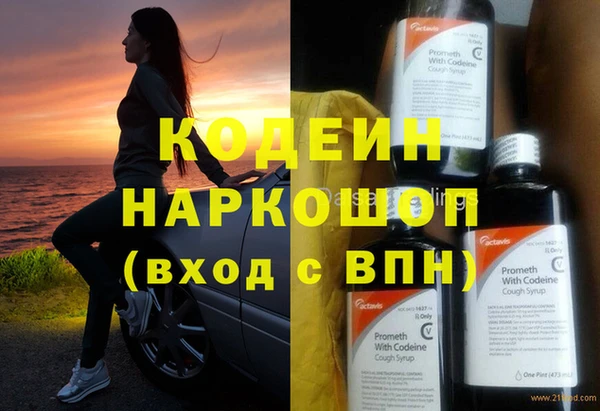 индика Абаза