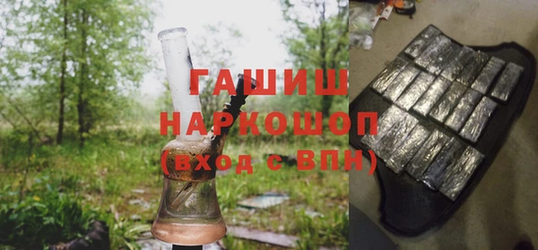индика Абаза