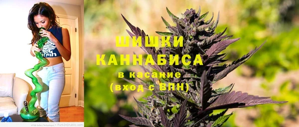 индика Абаза