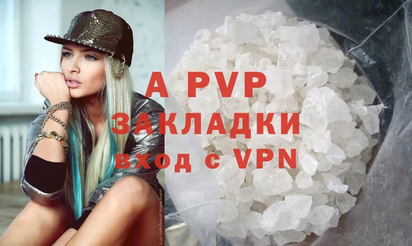 индика Абаза