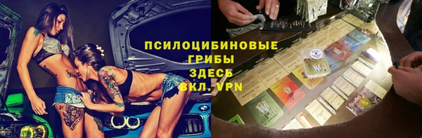 индика Абаза