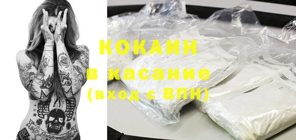 индика Абаза