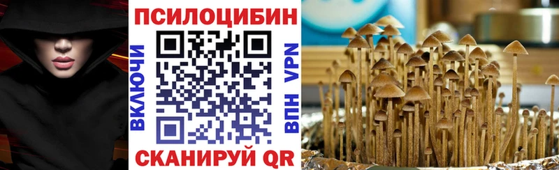 Псилоцибиновые грибы Psilocybe  Тулун 
